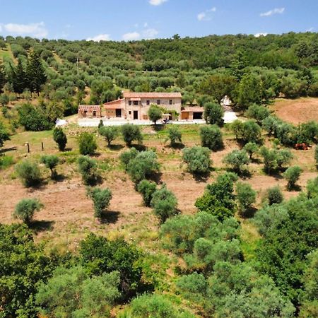 L'Oasi Delle Volpi Villa Tuoro sul Trasimeno Esterno foto