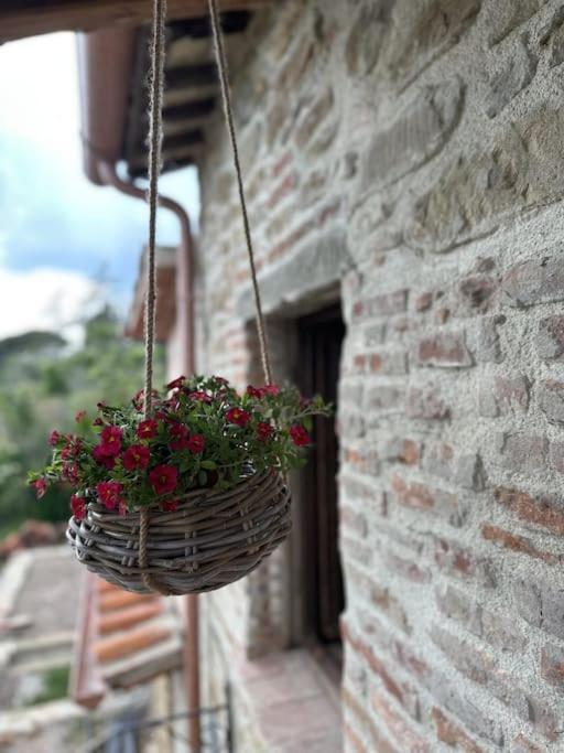 L'Oasi Delle Volpi Villa Tuoro sul Trasimeno Esterno foto