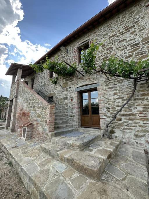 L'Oasi Delle Volpi Villa Tuoro sul Trasimeno Esterno foto