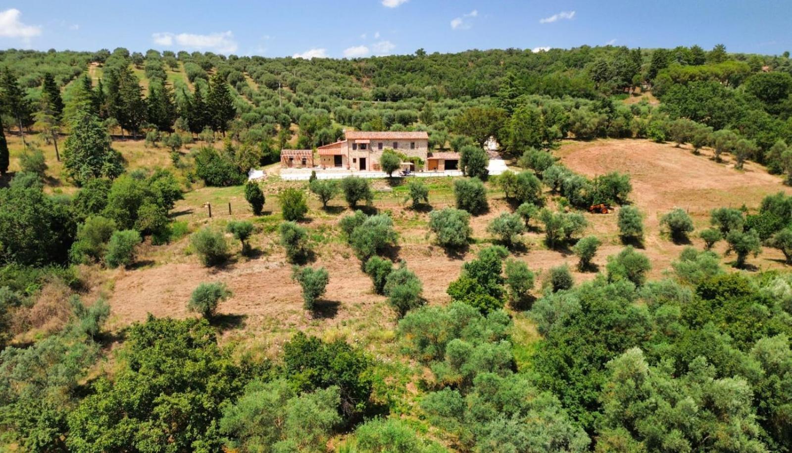 L'Oasi Delle Volpi Villa Tuoro sul Trasimeno Esterno foto